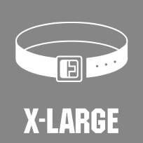 X-Large